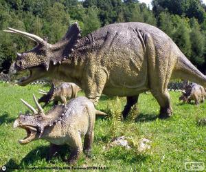 Układanka Triceratops