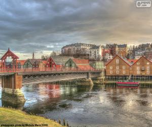 Układanka Trondheim, Norwegia