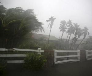 Układanka Tropical Depression