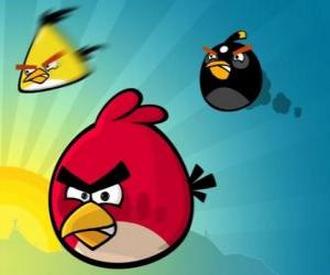 Układanka Trzy ptaki z Angry Birds