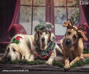 Układanka Trzy wielkie psy bożonarodzeniowe
