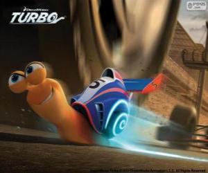 Układanka Turbo, najszybszy ślimak świata