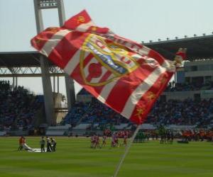 Układanka UD Almería flaga