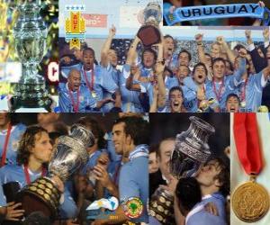 Układanka Urugwaj Champion Copa America 2011