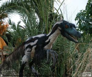 Układanka Velociraptor