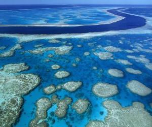 Układanka Wielka Rafa Koralowa, rafy koralowe na całym świecie największe. Australia.