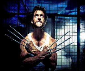 Układanka Wolverine to mutant superhero i jeden z ant X-Men New Avengers