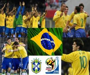 Układanka Wybór Brazylii, Grupa G, RPA 2010
