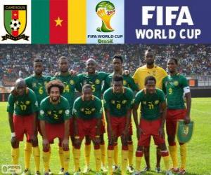 Układanka Wybór Kamerun, Grupa A, Brazylia 2014