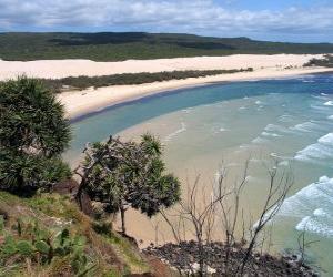 Układanka Wyspa Fraser, piaszczysta wyspa jest 122 km długości i jest największym na świecie w swoim rodzaju. Australia.