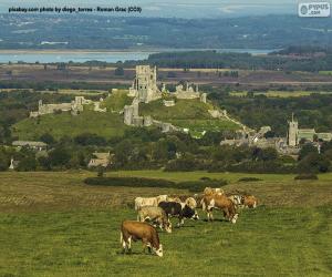 Układanka Zamek Corfe, Anglia