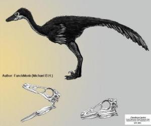 Układanka Zanabazar jest jednym z największych znanych troodonty, z czaszką 272 mm
