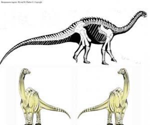 Układanka Zizhongosaurus, Zizhongozaur - prymitywny dinozaur z grupy zauropodów znaleziony w Chinach.