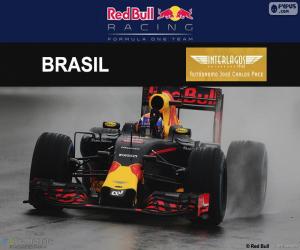 Układanka Zostali: Max Verstappen, Grand Prix Brazylii 2016