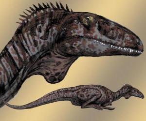 Układanka Zupaysaurus był średniej wielkości teropod, docierając do 4 m długości, 1,20 wzrostu i wadze 200 kg