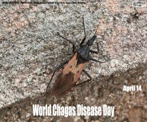 Układanka Światowy Dzień Choroby Chagasa