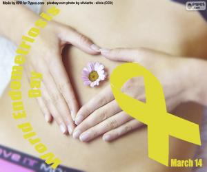 Układanka Światowy Dzień Endometriozy
