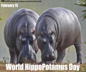 Układanka Światowy Dzień Hipopotamów
