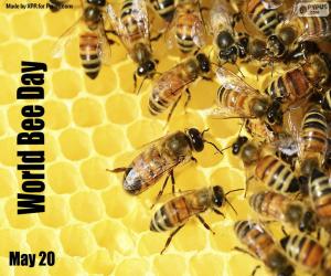 Układanka Światowy Dzień Pszczół