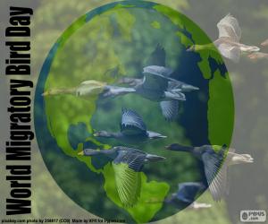 Układanka Światowy Dzień Ptaków Wędrownych
