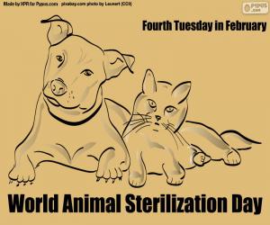 Układanka Światowy Dzień Sterylizacji Zwierząt