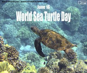 Układanka Światowy Dzień Żółwia Morskiego