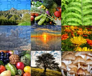 Puzzle Natura