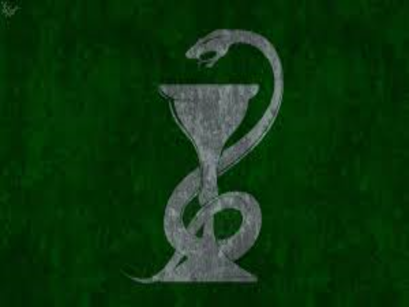 Zabawy Slytherinu puzzle