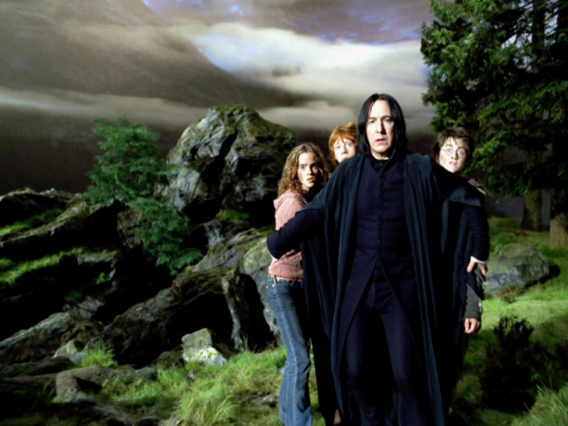Snape, Harry, Ron, Hermiona puzzle