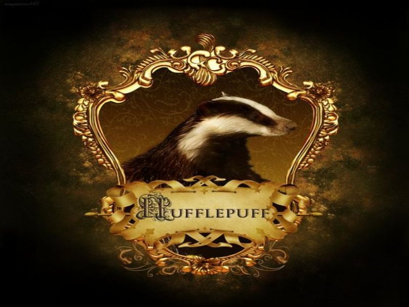 Hufflepuff puzzle