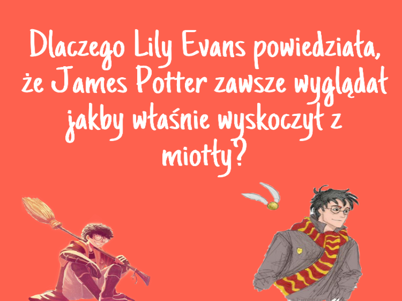 Czwarte pytanie o Jamesie Potterze puzzle