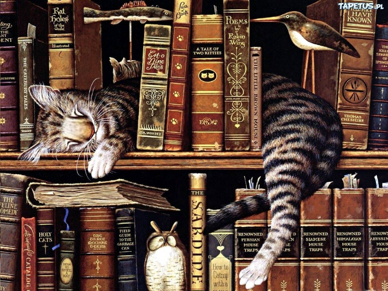 Kot na półce z książkami puzzle
