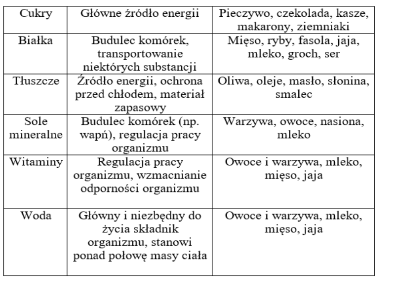 SKŁADNIKI POKARMOWE puzzle