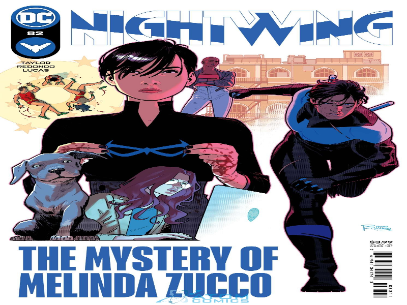 Nightwing puzzle