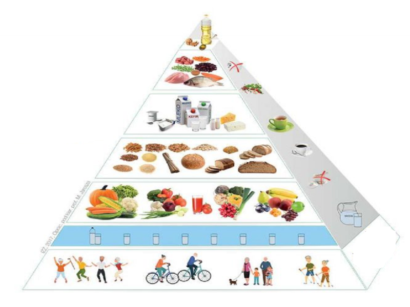piramida żywienia nowa puzzle