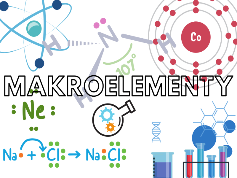 Puzzle dotyczące chemii - makroelementów puzzle